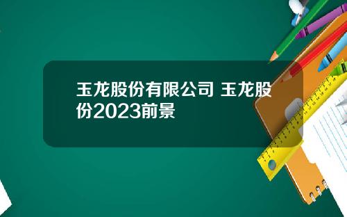 玉龙股份有限公司 玉龙股份2023前景