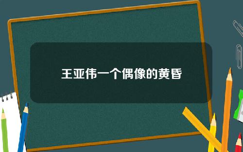 王亚伟一个偶像的黄昏