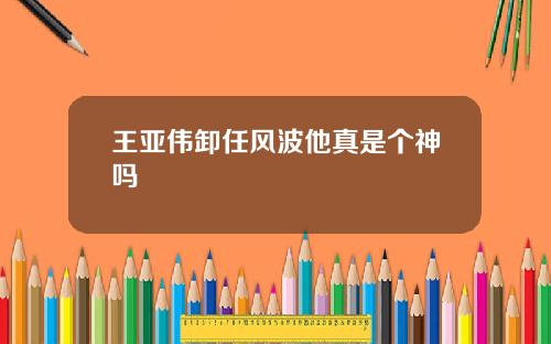 王亚伟卸任风波他真是个神吗