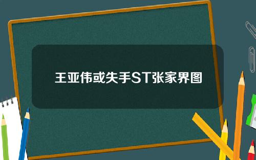 王亚伟或失手ST张家界图