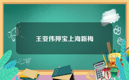 王亚伟押宝上海新梅