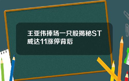 王亚伟捧场一只股揭秘ST威达11涨停背后