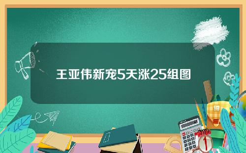 王亚伟新宠5天涨25组图