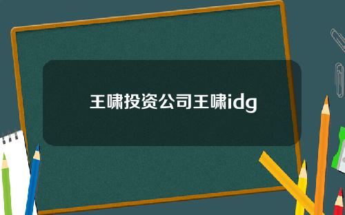 王啸投资公司王啸idg