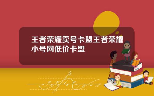 王者荣耀卖号卡盟王者荣耀小号网低价卡盟