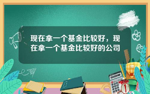 现在拿一个基金比较好，现在拿一个基金比较好的公司