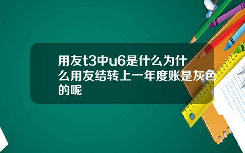用友t3中u6是什么为什么用友结转上一年度账是灰色的呢