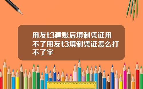 用友t3建账后填制凭证用不了用友t3填制凭证怎么打不了字