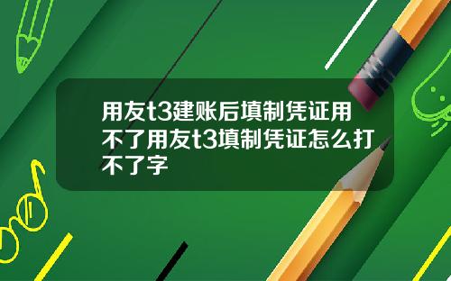 用友t3建账后填制凭证用不了用友t3填制凭证怎么打不了字
