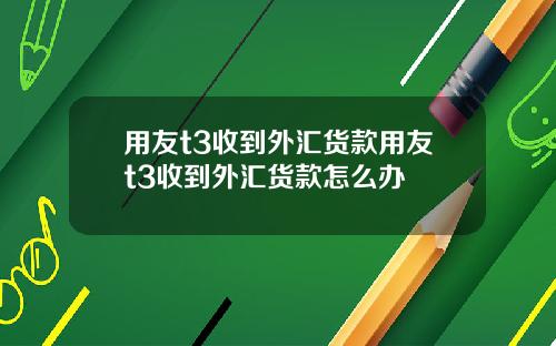 用友t3收到外汇货款用友t3收到外汇货款怎么办