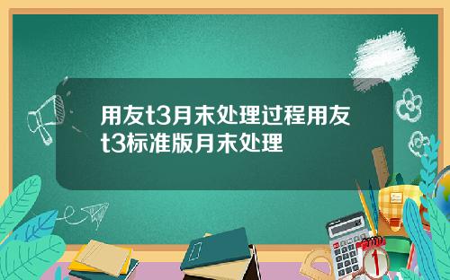 用友t3月末处理过程用友t3标准版月末处理