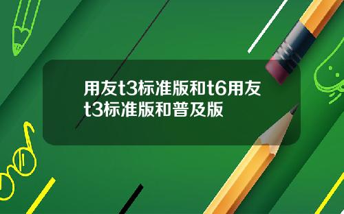 用友t3标准版和t6用友t3标准版和普及版
