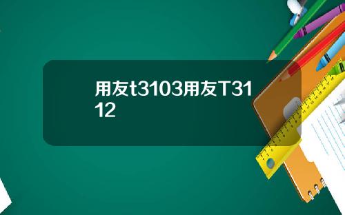 用友t3103用友T3112