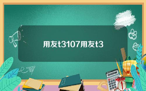用友t3107用友t3