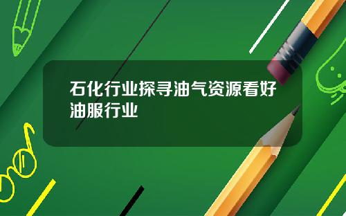 石化行业探寻油气资源看好油服行业