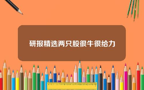 研报精选两只股很牛很给力
