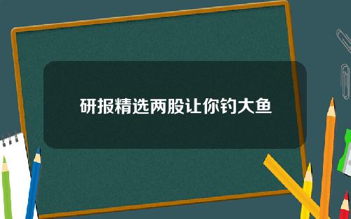 研报精选两股让你钓大鱼