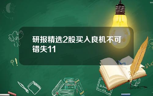 研报精选2股买入良机不可错失11