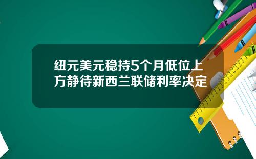 纽元美元稳持5个月低位上方静待新西兰联储利率决定