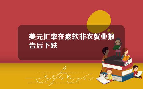 美元汇率在疲软非农就业报告后下跌