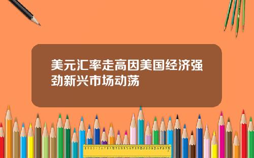 美元汇率走高因美国经济强劲新兴市场动荡