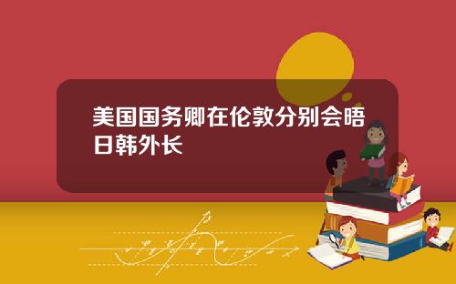 美国国务卿在伦敦分别会晤日韩外长