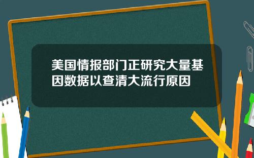 美国情报部门正研究大量基因数据以查清大流行原因