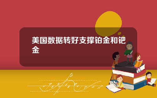 美国数据转好支撑铂金和钯金