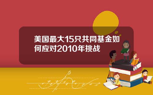 美国最大15只共同基金如何应对2010年挑战