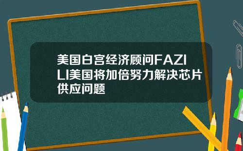 美国白宫经济顾问FAZILI美国将加倍努力解决芯片供应问题