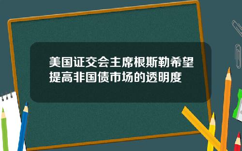 美国证交会主席根斯勒希望提高非国债市场的透明度