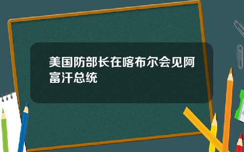 美国防部长在喀布尔会见阿富汗总统