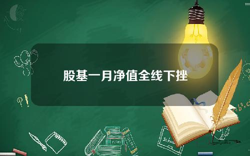 股基一月净值全线下挫