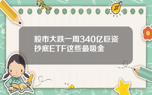 股市大跌一周340亿巨资抄底ETF这些最吸金