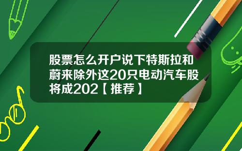 股票怎么开户说下特斯拉和蔚来除外这20只电动汽车股将成202【推荐】