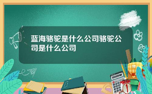 蓝海骆驼是什么公司骆驼公司是什么公司