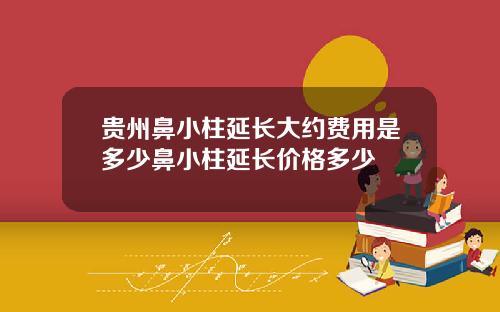 贵州鼻小柱延长大约费用是多少鼻小柱延长价格多少