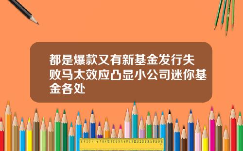 都是爆款又有新基金发行失败马太效应凸显小公司迷你基金各处
