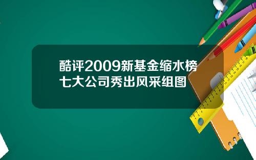 酷评2009新基金缩水榜七大公司秀出风采组图