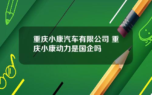 重庆小康汽车有限公司 重庆小康动力是国企吗