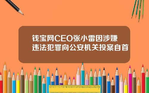 钱宝网CEO张小雷因涉嫌违法犯罪向公安机关投案自首