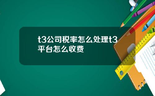 t3公司税率怎么处理t3平台怎么收费