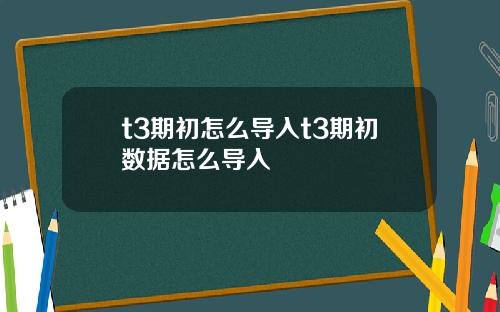 t3期初怎么导入t3期初数据怎么导入