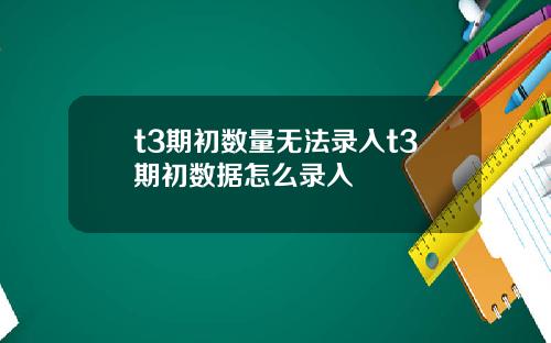 t3期初数量无法录入t3期初数据怎么录入