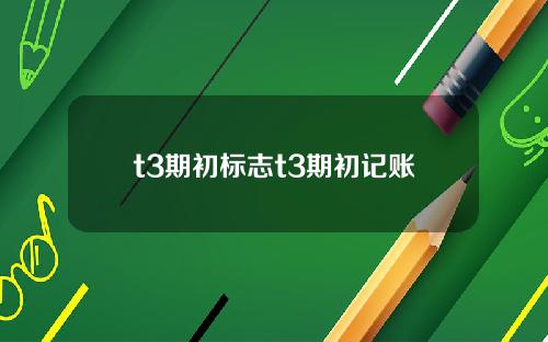 t3期初标志t3期初记账