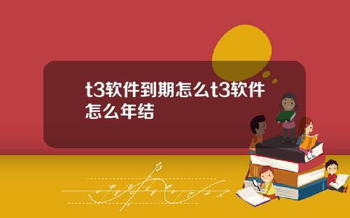 t3软件到期怎么t3软件怎么年结