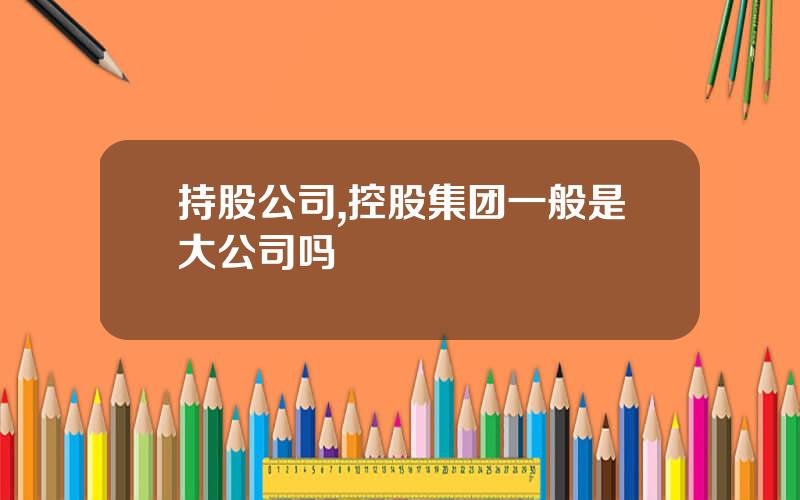 持股公司,控股集团一般是大公司吗