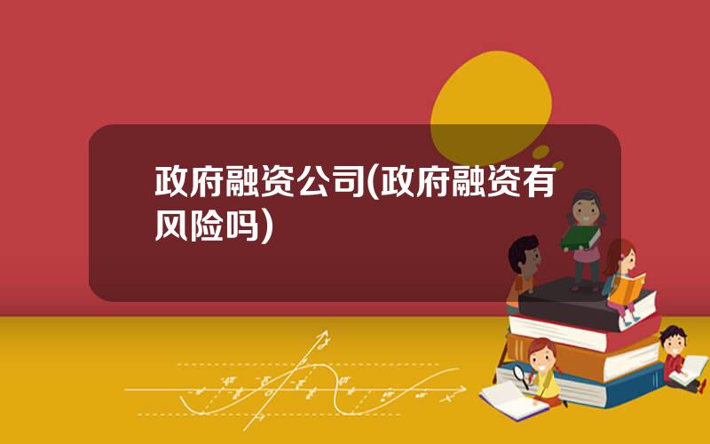 政府融资公司(政府融资有风险吗)