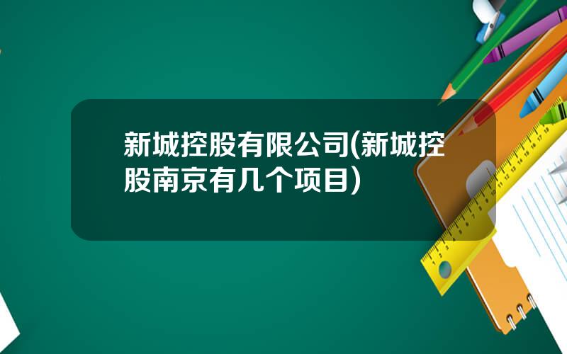 新城控股有限公司(新城控股南京有几个项目)
