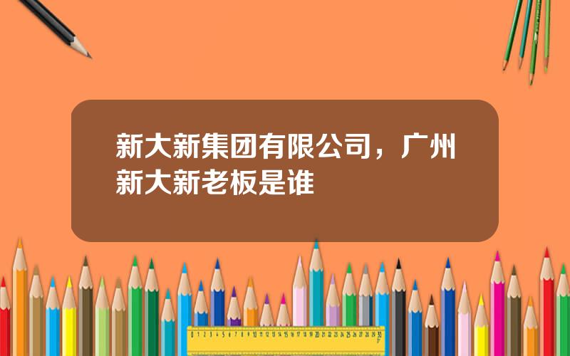 新大新集团有限公司，广州新大新老板是谁
